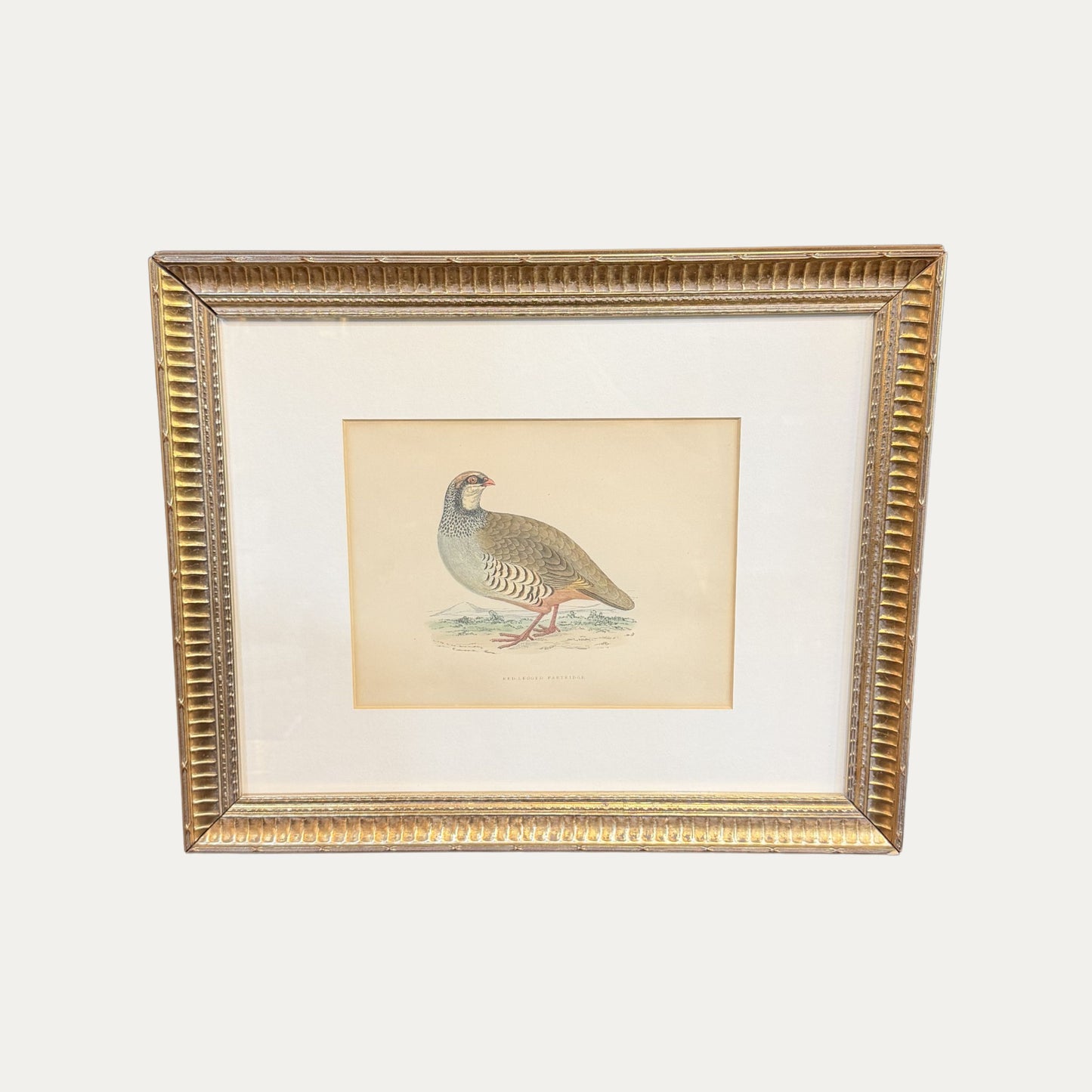Antique Partridge Framed Engraving