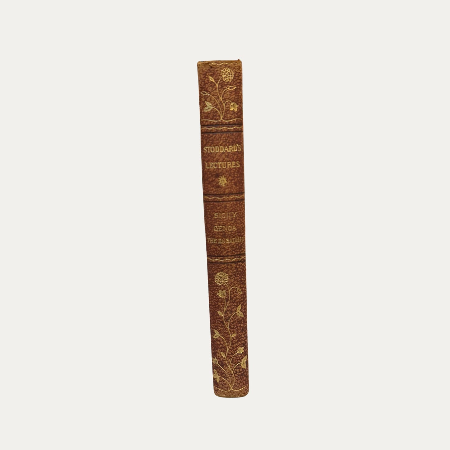 Antique Leather and Marble Book Stoddards Lectures