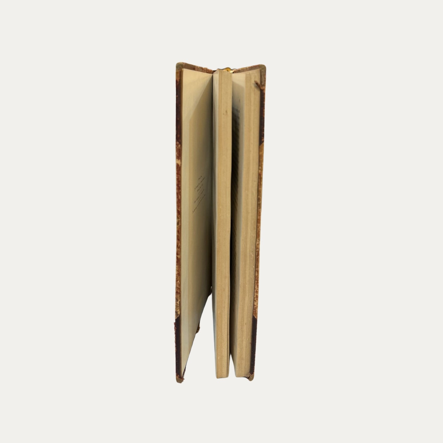 Antique Leather and Marble Book Stoddards Lectures