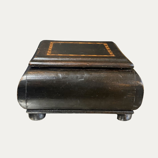 19th Century Mahogany Silk Lined