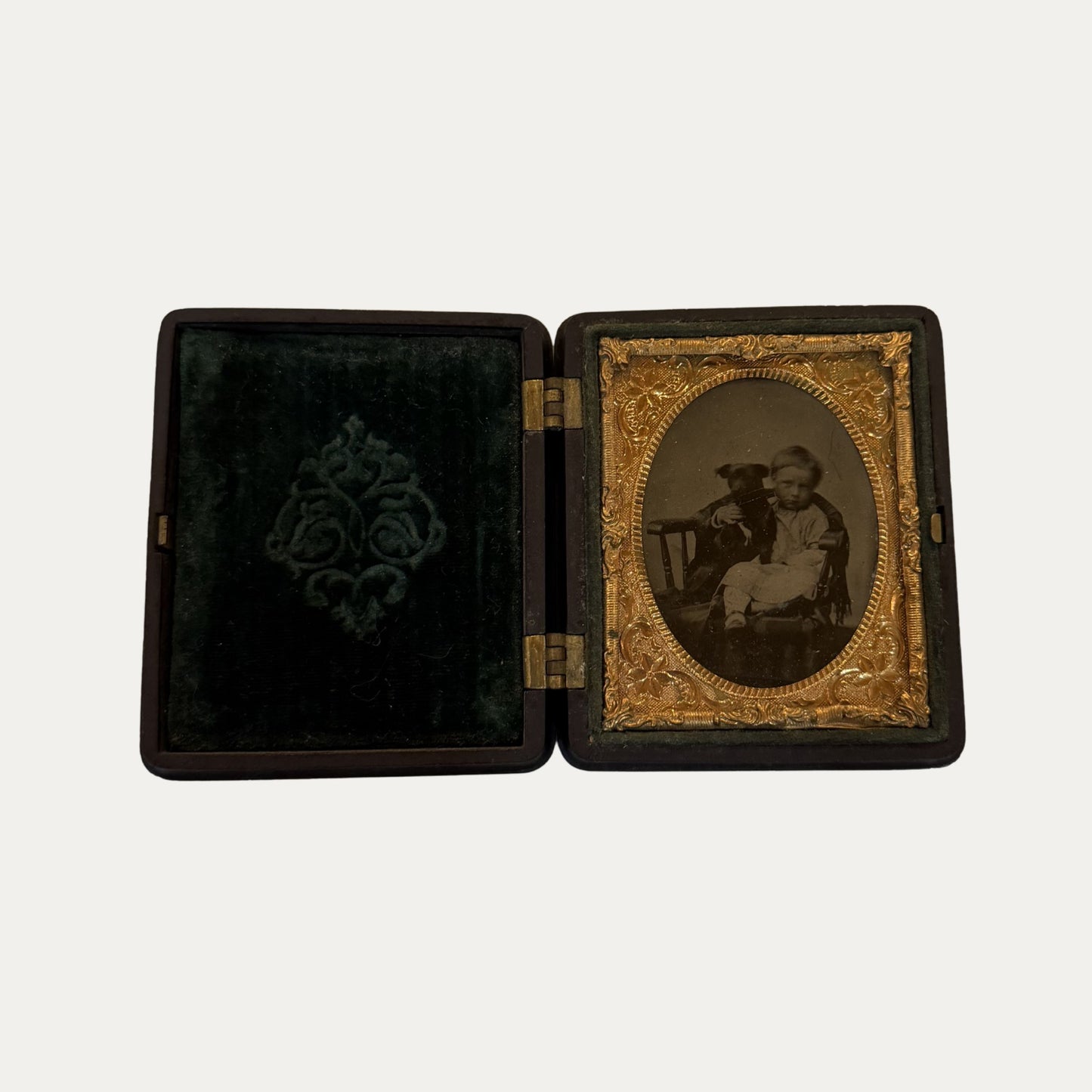 Antique Ambrotype of Little Boy and Dog
