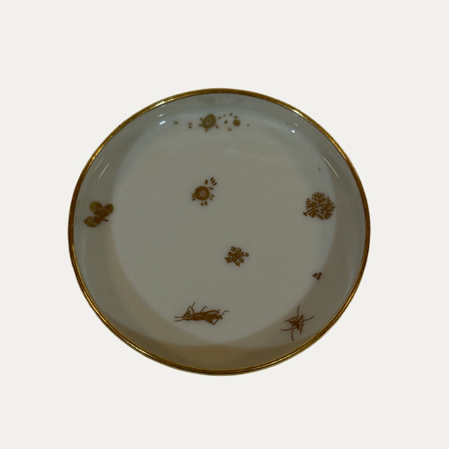French Porcelain Gold Bug Trinket Dish