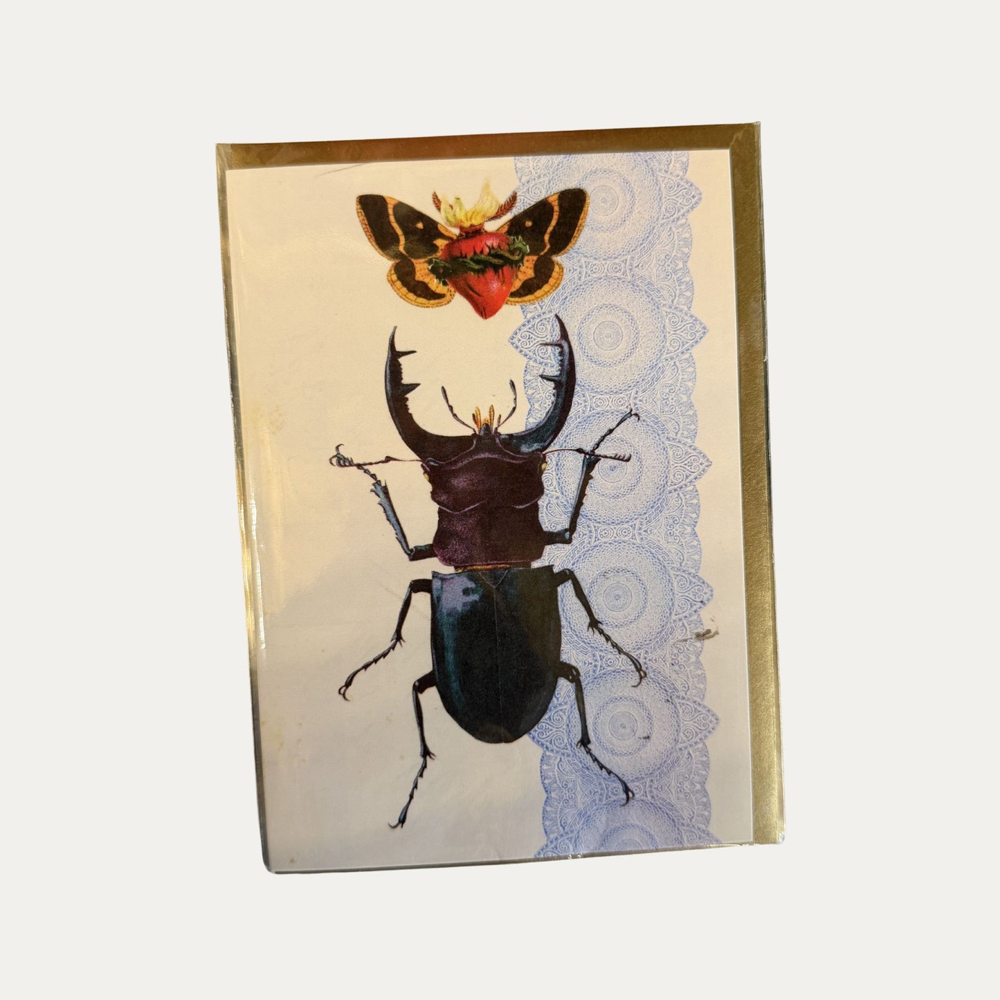 Animal Card Collage Cards by local Artist Alexandria Sherman