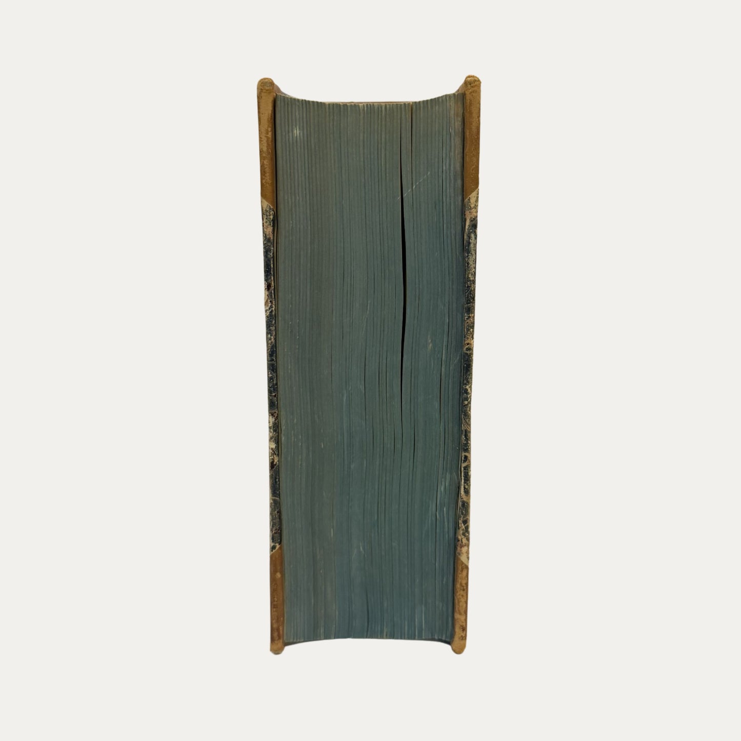 Antique Leather and Marble Racing Book