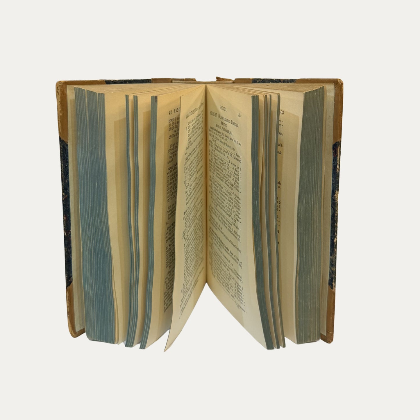 Antique Leather and Marble Racing Book