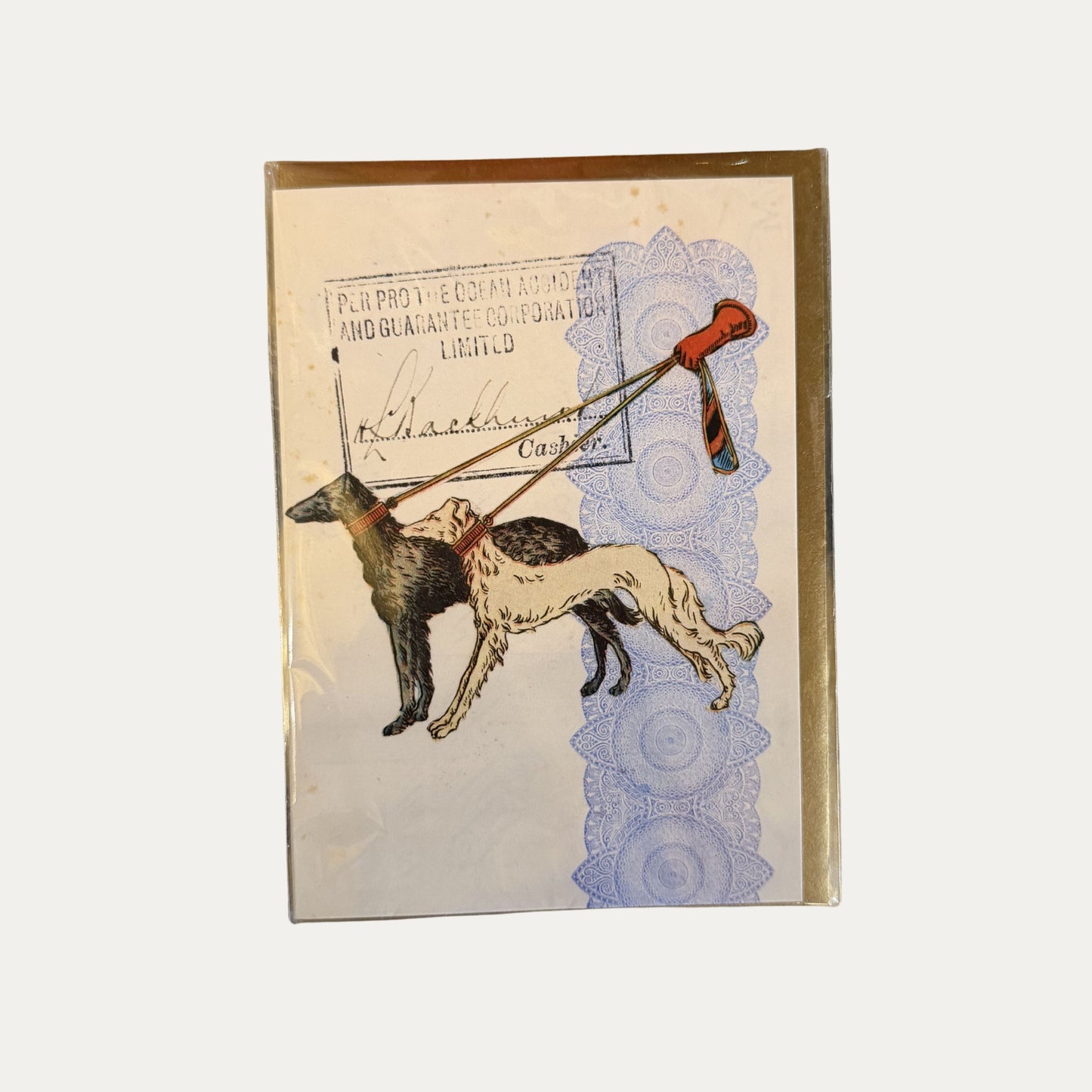 Animal Card Collage Cards by local Artist Alexandria Sherman