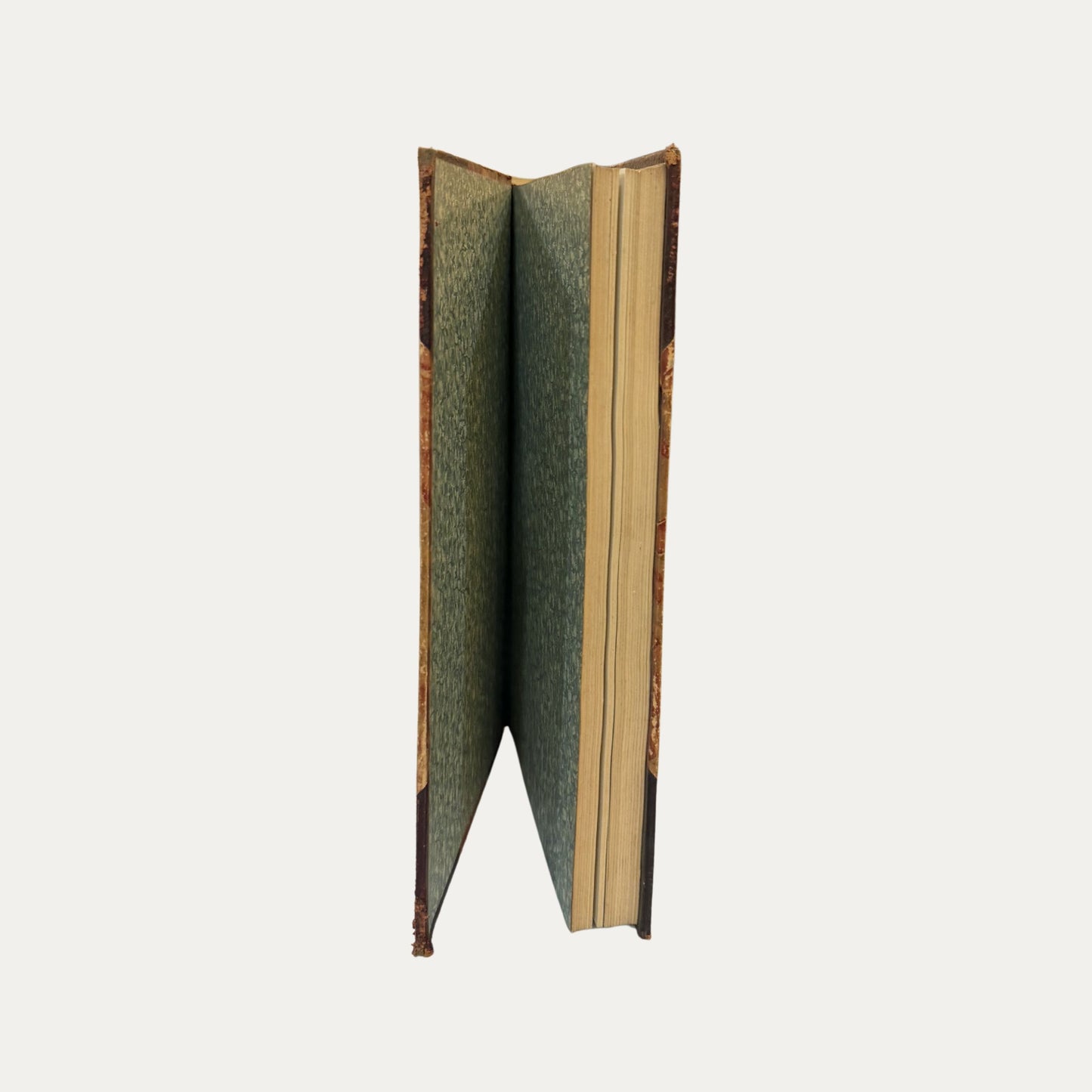 Antique Leather and Marble Book Stoddards Lectures (Book 6)