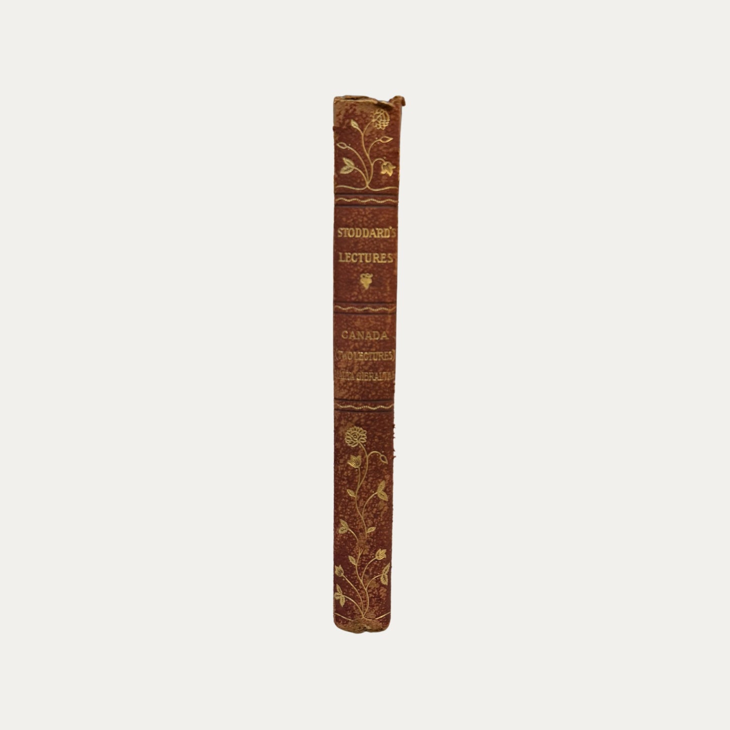 Antique Leather and Marble Book Stoddards Lectures
