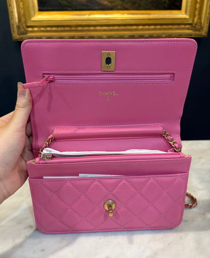 Chanel Hot Pink Wallet On Chain