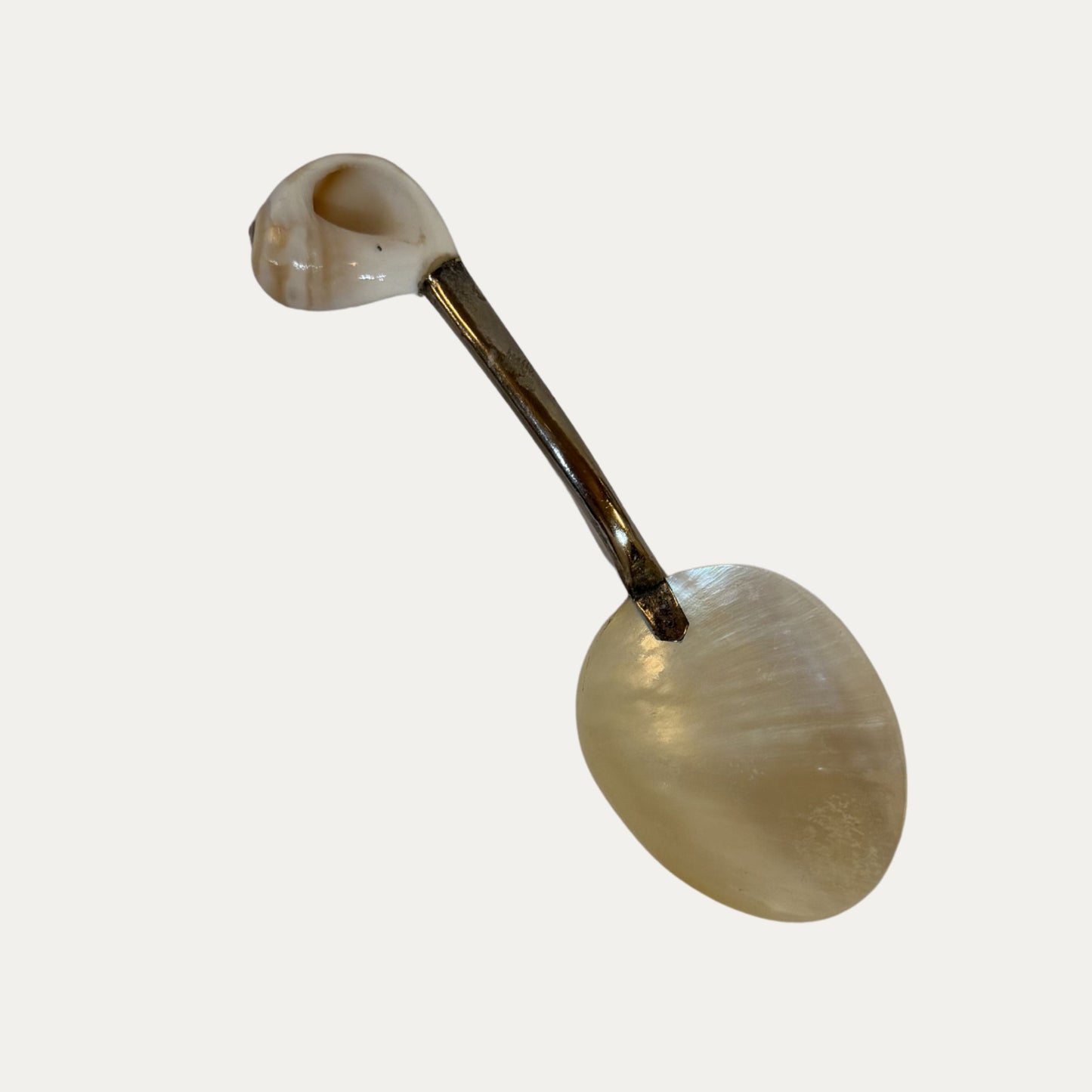 Vintage Caviar Spoon