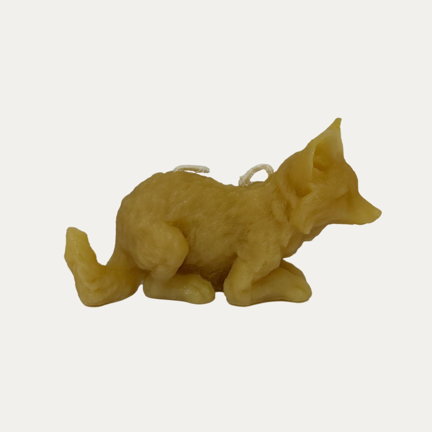 Fox Candle