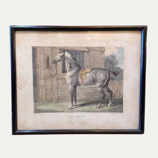 Antique Early Horse Engraving circa 1799 "The Hunter"