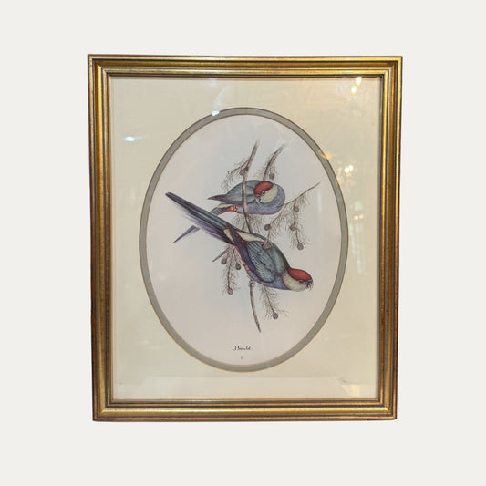 Vintage J Gould Parrot Pictures Gilt Frame