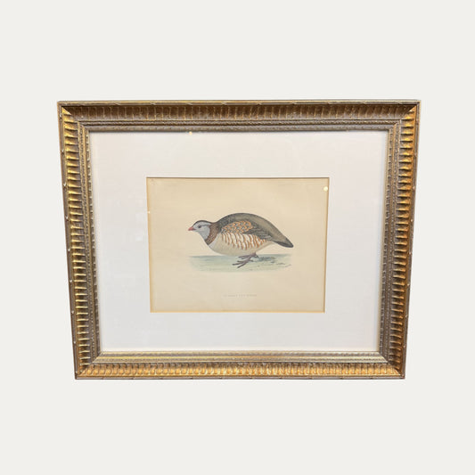 Antique Partridge Framed Engraving