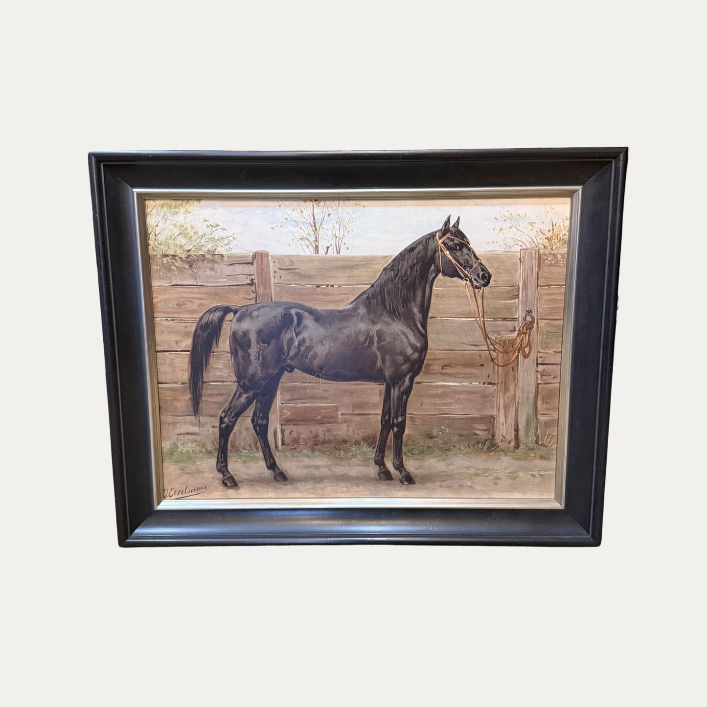 Vintage Horse Lithograph