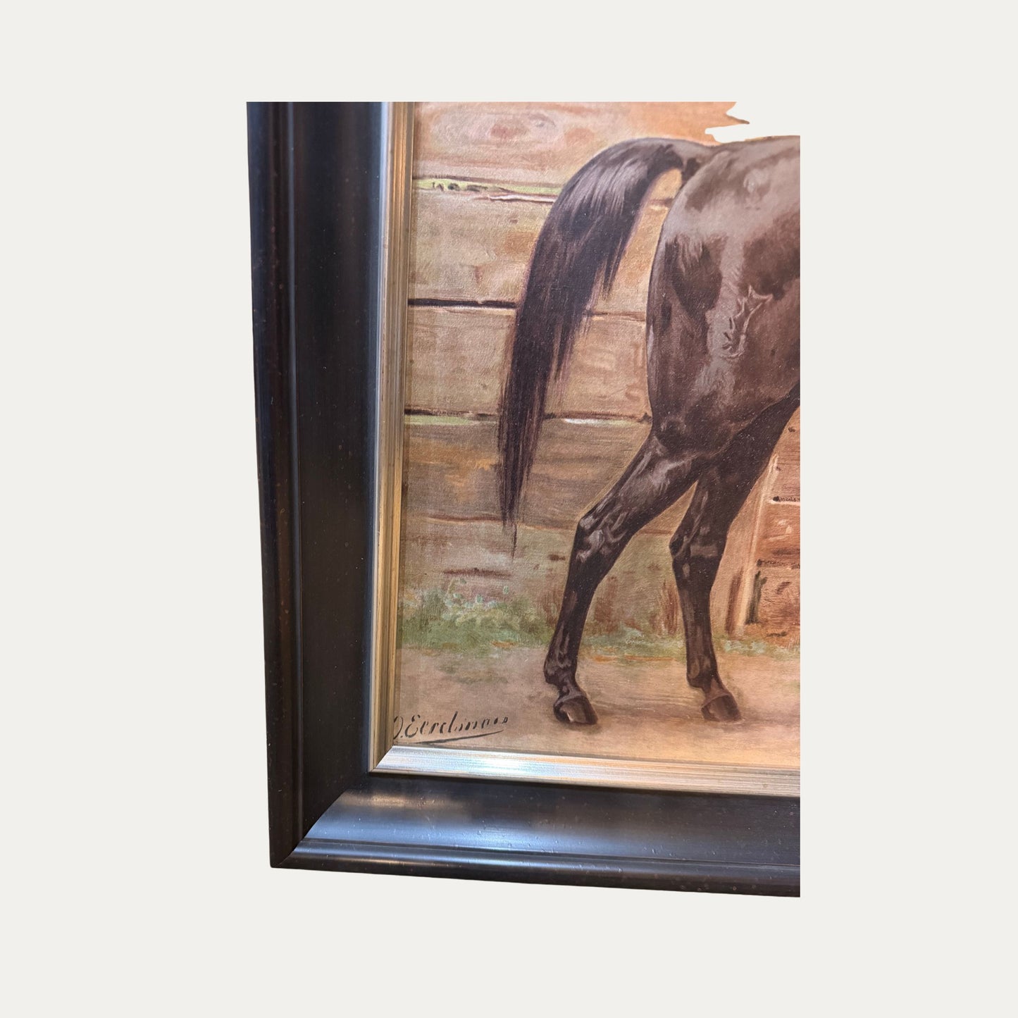 Vintage Horse Lithograph